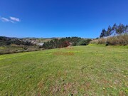 Terreno R�stico - Vimeiro, Lourinh�, Lisboa - Miniatura: 9/9