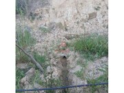Terreno Urbano - Carvalhal, Bombarral, Leiria - Miniatura: 3/9