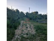 Terreno Urbano - Carvalhal, Bombarral, Leiria - Miniatura: 9/9