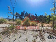 Terreno Urbano - Santa Maria, Torres Vedras, Lisboa - Miniatura: 4/9