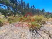 Terreno Urbano - Santa Maria, Torres Vedras, Lisboa - Miniatura: 7/9