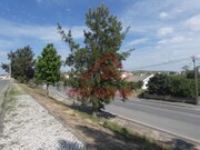 Terreno Urbano - Ponte do Rol, Torres Vedras, Lisboa - Miniatura: 3/9