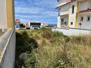 Terreno Rstico - Santo Isidoro MFR, Mafra, Lisboa - Miniatura: 6/9
