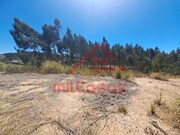 Terreno Urbano - Santa Maria, Torres Vedras, Lisboa - Miniatura: 3/9