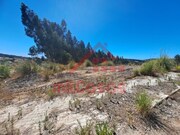 Terreno Urbano - Santa Maria, Torres Vedras, Lisboa - Miniatura: 5/9