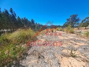 Terreno Urbano - Santa Maria, Torres Vedras, Lisboa - Miniatura: 9/9