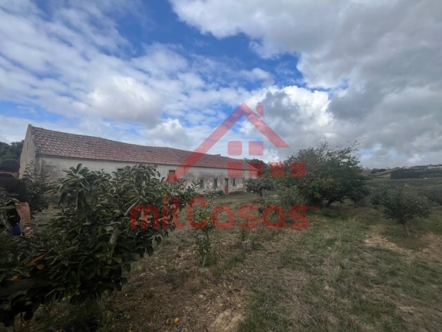 Quinta T3 - Carvalhal, Bombarral, Leiria - Imagem grande