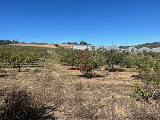 Terreno R�stico - Azueira, Mafra, Lisboa - Imagem grande