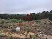 Terreno Industrial - Santa Maria, Torres Vedras, Lisboa - Miniatura: 2/9