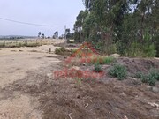 Terreno Industrial - Santa Maria, Torres Vedras, Lisboa - Miniatura: 6/9
