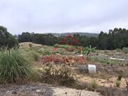 Terreno Industrial - Santa Maria, Torres Vedras, Lisboa - Miniatura: 8/9