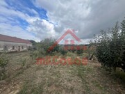 Quinta T3 - Carvalhal, Bombarral, Leiria - Miniatura: 1/9