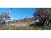 Terreno R�stico - Carvoeira TVD, Torres Vedras, Lisboa - Miniatura: 8/9