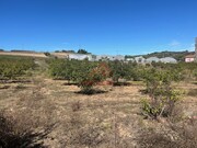 Terreno R�stico - Azueira, Mafra, Lisboa - Miniatura: 4/9