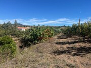 Terreno R�stico - Azueira, Mafra, Lisboa - Miniatura: 7/9