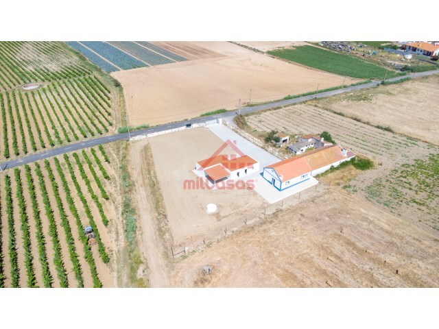 Moradia - S�o Pedro da Cadeira, Torres Vedras, Lisboa - Imagem grande