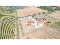 Moradia - S�o Pedro da Cadeira, Torres Vedras, Lisboa
