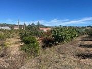 Terreno Rstico - Azueira, Mafra, Lisboa - Miniatura: 6/9
