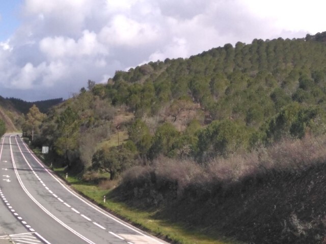Terreno Rstico - So Marcos da Serra, Silves, Faro (Algarve) - Imagem grande