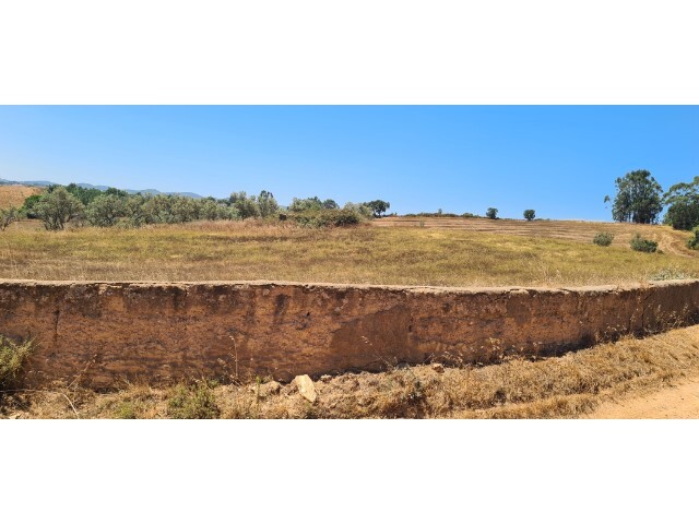 Quinta - Cercal do Alentejo, Santiago do Cac�m, Set�bal - Imagem grande