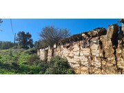 Quinta - São Luís, Odemira, Beja - Miniatura: 1/9