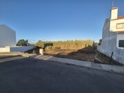 Terreno Rstico - Longueira/Almograve, Odemira, Beja - Miniatura: 9/9