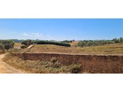 Quinta - Cercal do Alentejo, Santiago do Cac�m, Set�bal - Miniatura: 5/9