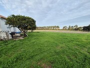 Quinta T4 - Cercal do Alentejo, Santiago do Cac�m, Set�bal - Miniatura: 7/9