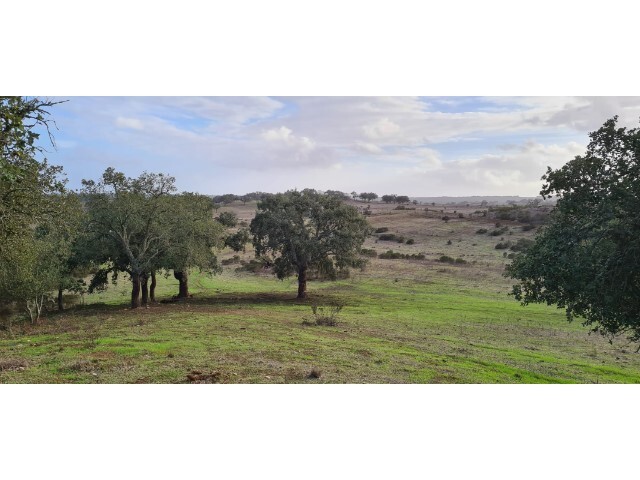 Terreno Rústico - Azinheira dos Barros, Grândola, Setúbal - Imagem grande