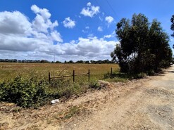 Terreno Rstico - So Salvador, Odemira, Beja