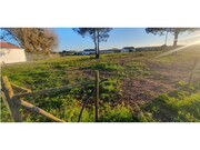 Terreno Rstico - Longueira/Almograve, Odemira, Beja - Miniatura: 2/4