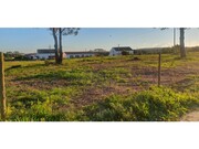 Terreno Rstico - Longueira/Almograve, Odemira, Beja - Miniatura: 3/4