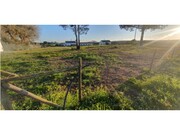 Terreno Rstico - Longueira/Almograve, Odemira, Beja - Miniatura: 4/4