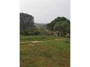 Quinta - So Bartolomeu de Messines, Silves, Faro (Algarve) - Miniatura: 9/9