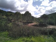 Terreno Rstico - So Marcos da Serra, Silves, Faro (Algarve) - Miniatura: 3/9