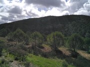 Terreno Rstico - So Marcos da Serra, Silves, Faro (Algarve) - Miniatura: 5/9