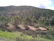 Terreno Rstico - So Marcos da Serra, Silves, Faro (Algarve) - Miniatura: 6/9