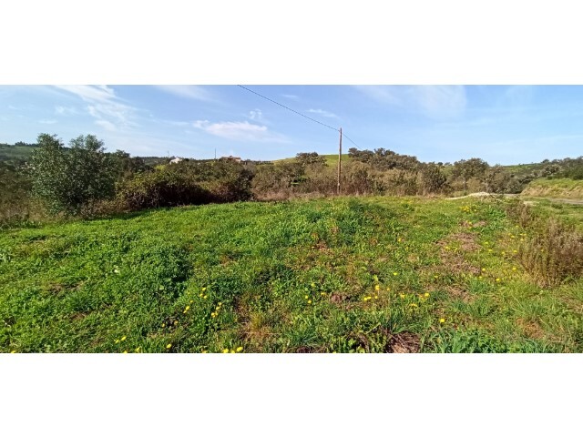 Quinta - São Salvador, Odemira, Beja - Imagem grande