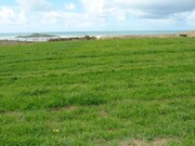 Terreno R�stico - Porto Covo, Sines, Set�bal - Miniatura: 2/4