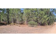 Quinta T0 - S�o Domingos, Santiago do Cac�m, Set�bal - Miniatura: 2/8