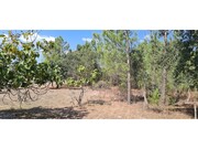 Quinta T0 - S�o Domingos, Santiago do Cac�m, Set�bal - Miniatura: 3/8