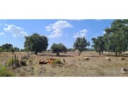 Quinta T0 - S�o Domingos, Santiago do Cac�m, Set�bal - Miniatura: 7/8