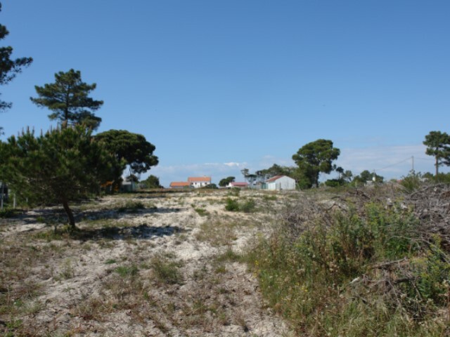 Terreno R�stico - Melides, Gr�ndola, Set�bal - Imagem grande