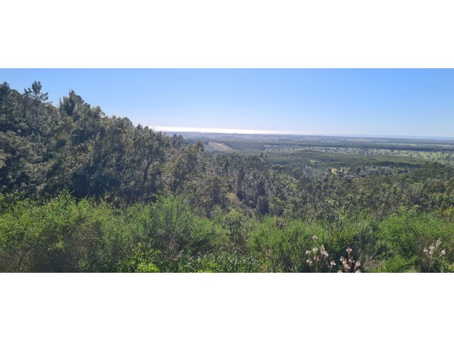 Quinta T4 - Vila Nova de Milfontes, Odemira, Beja - Imagem grande