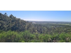 Quinta T4 - Vila Nova de Milfontes, Odemira, Beja