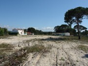 Terreno R�stico - Melides, Gr�ndola, Set�bal - Miniatura: 4/9