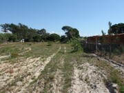 Terreno R�stico - Melides, Gr�ndola, Set�bal - Miniatura: 5/9
