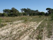 Terreno R�stico - Melides, Gr�ndola, Set�bal - Miniatura: 7/9