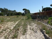 Terreno R�stico - Melides, Gr�ndola, Set�bal - Miniatura: 8/9