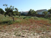 Terreno R�stico - Melides, Gr�ndola, Set�bal - Miniatura: 9/9